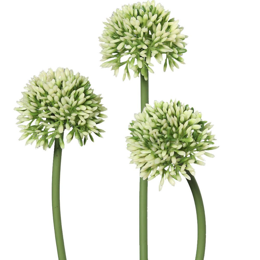 Kunstblume Lauch Blüten Allium Kunstpflanzen 3er Bund 34 cm grün Lauch Blüten, matches21 HOME & HOBBY, Höhe 34 cm, Indoor