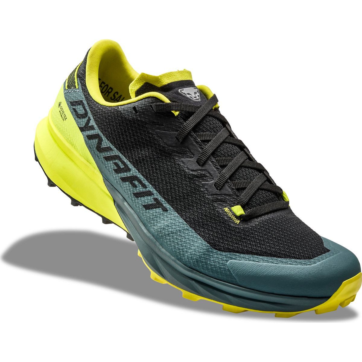 Dynafit Ultra GTX Alpinschuh Vielseitiger, wasserdichter Schuh für Herren mit exzellentem Grip