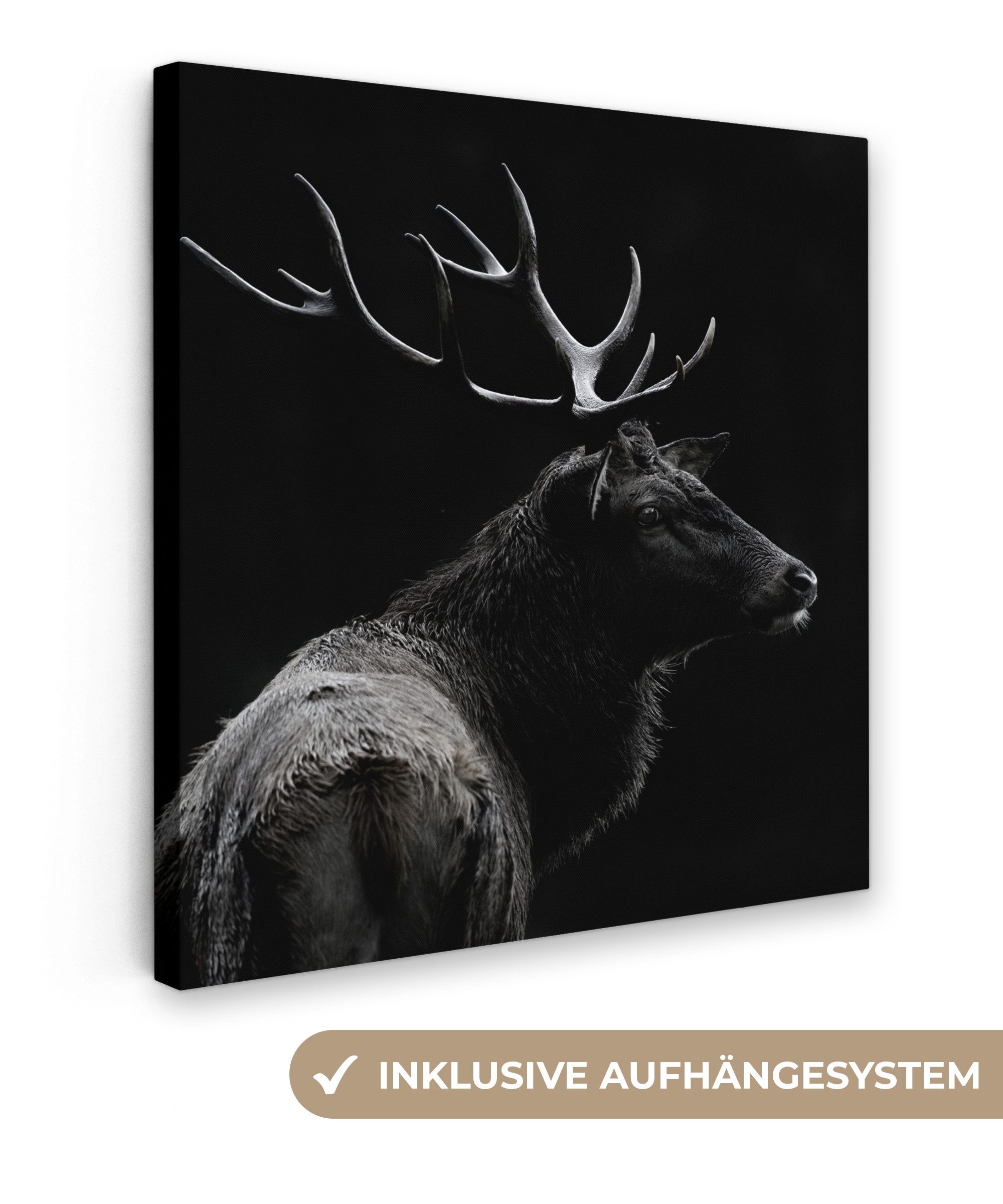 OneMillionCanvasses® Leinwandbild Hirsch - Schwarz - Porträt - Geweih - Tie günstig online kaufen
