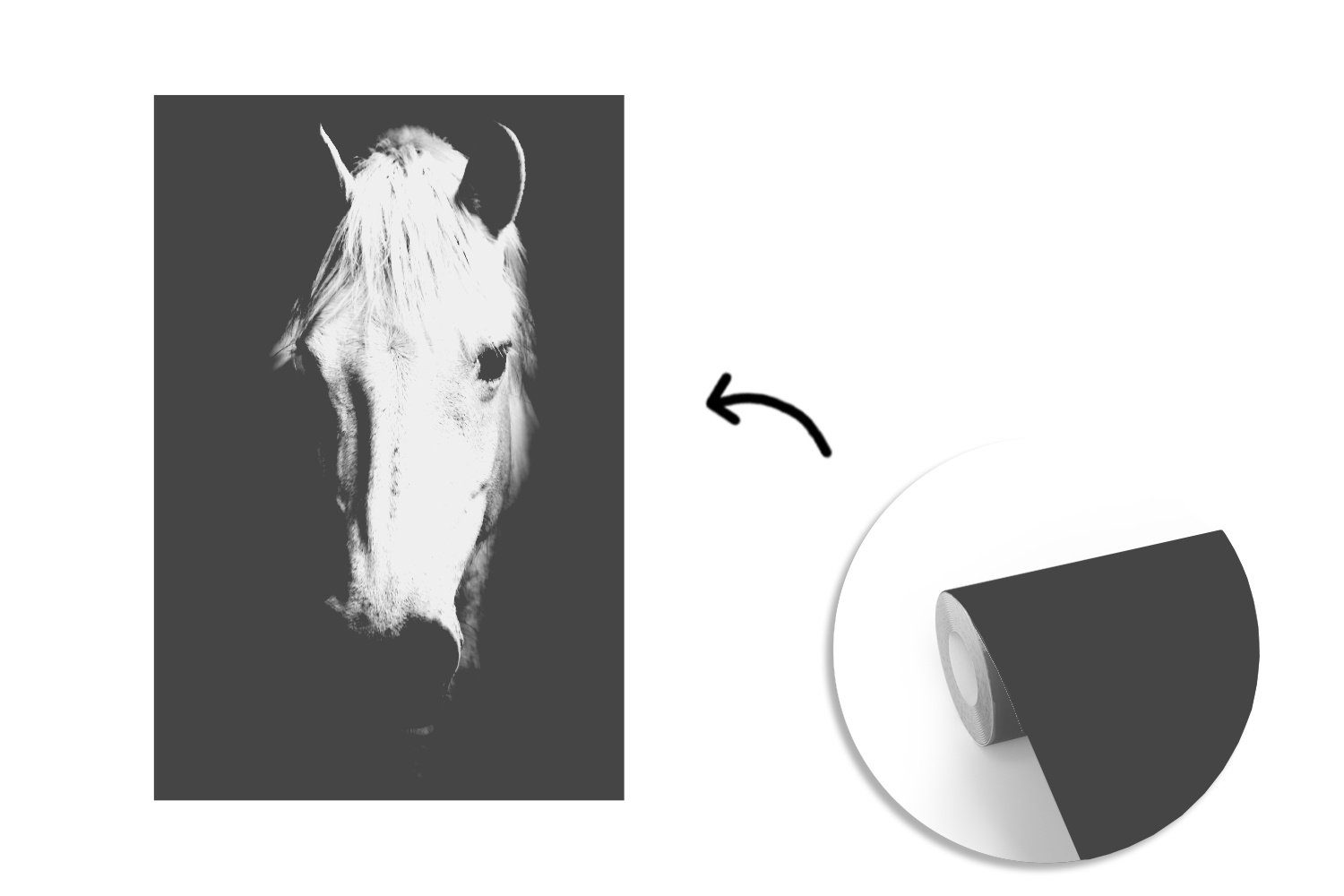 MuchoWow Fototapete Pferd Montagefertig Tapete für (3 Wandtapete - - St), Matt, Wohnzimmer, Porträt Schwarz bedruckt, Vinyl - Weiß