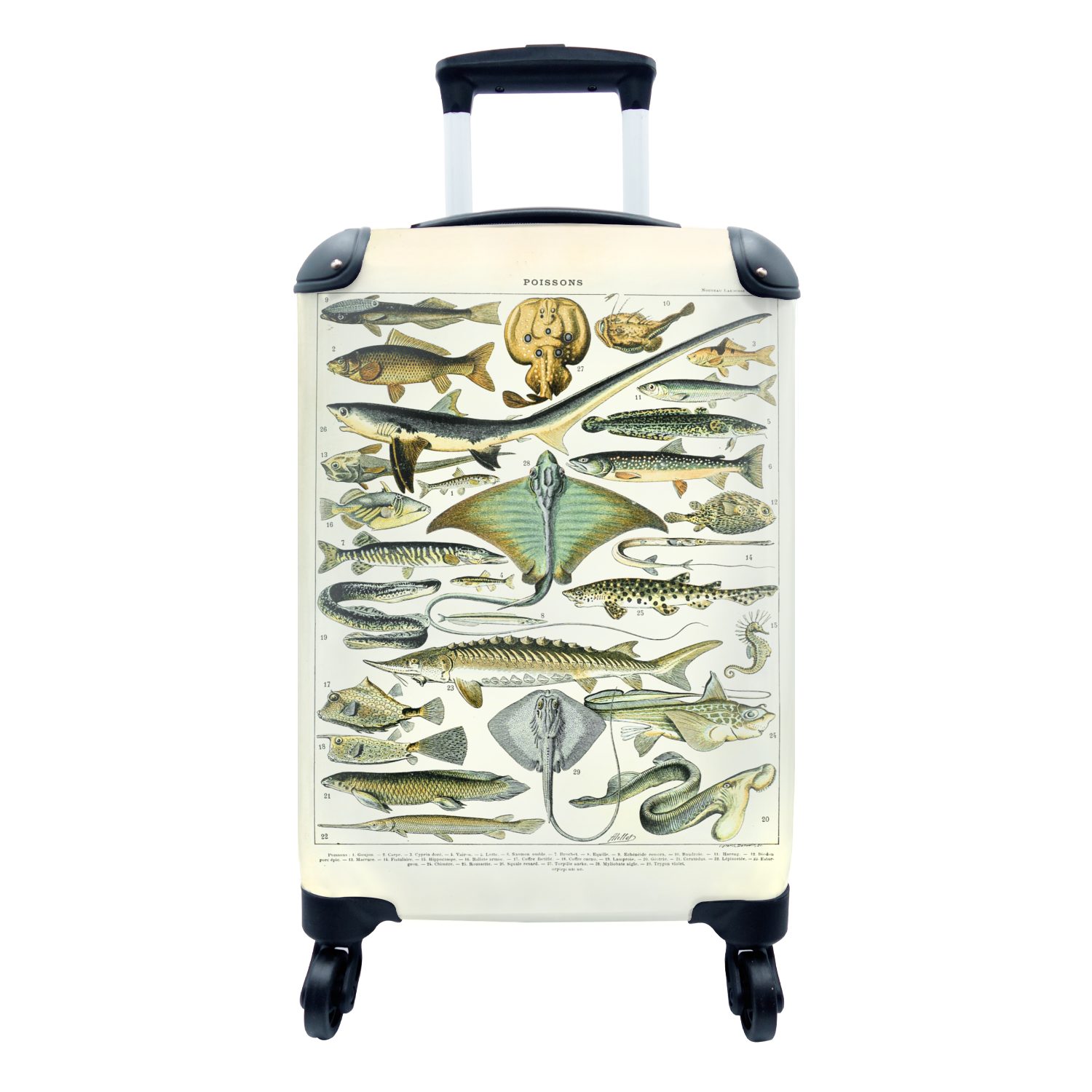 MuchoWow Handgepäckkoffer Fische - Meerestiere - Tiere, 4 Rollen, Reisetasche mit rollen, Handgepäck für Ferien, Trolley, Reisekoffer