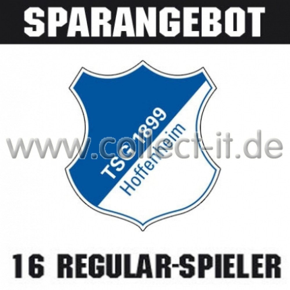 Topps Sammelkarte Mannschafts-Paket - TSG 1899 Hoffenheim - Saison 2015/16