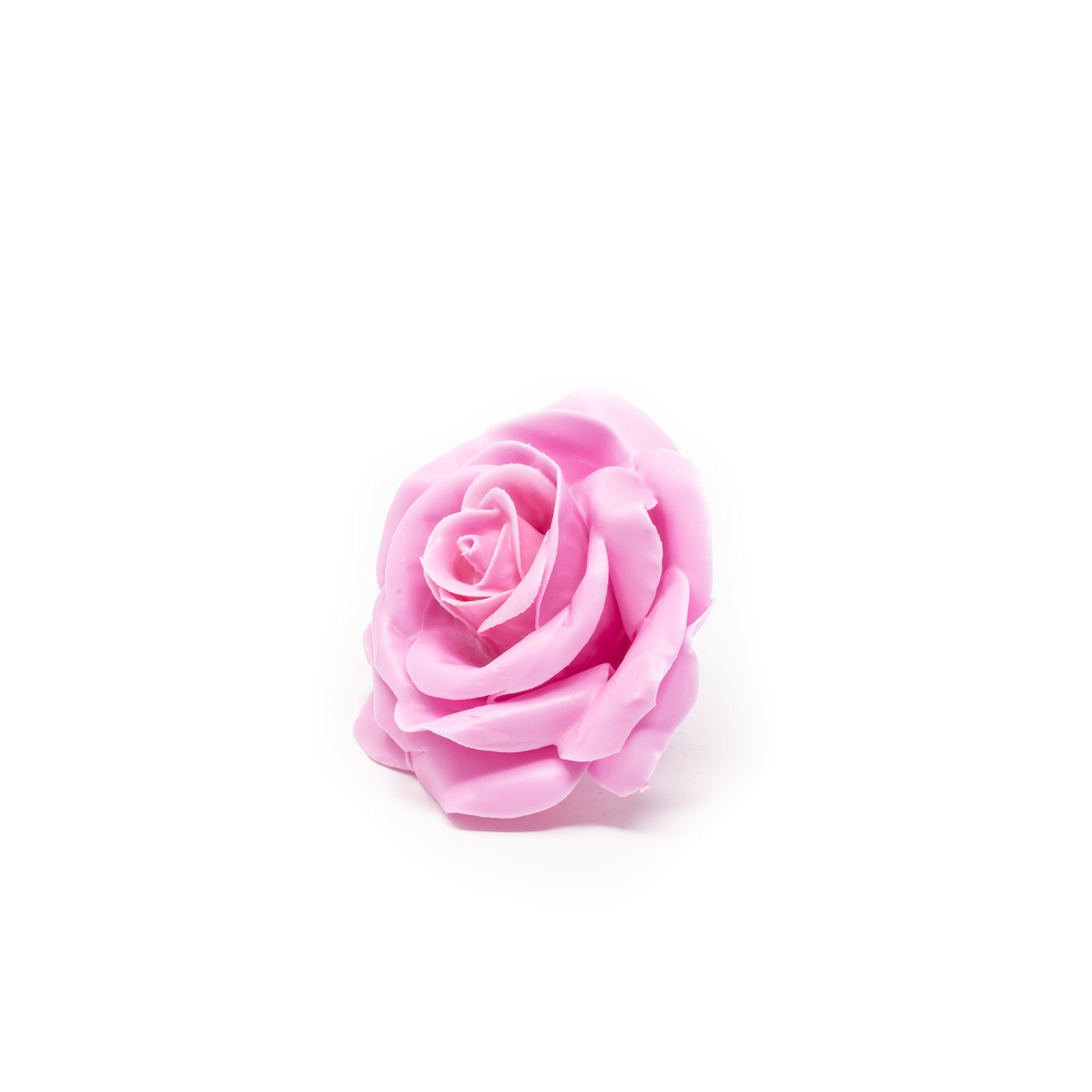 Trockenblume 12er Set Wachsrose - Pink, Primera, Höhe 25 cm