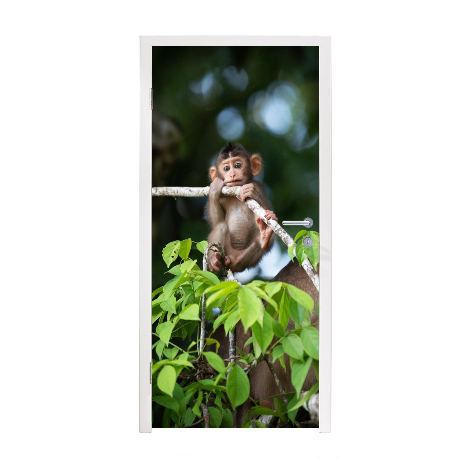MuchoWow Türtapete Baby - Affe - Äste, Matt, bedruckt, (1 St), Fototapete für Tür, Türaufkleber, 75x205 cm