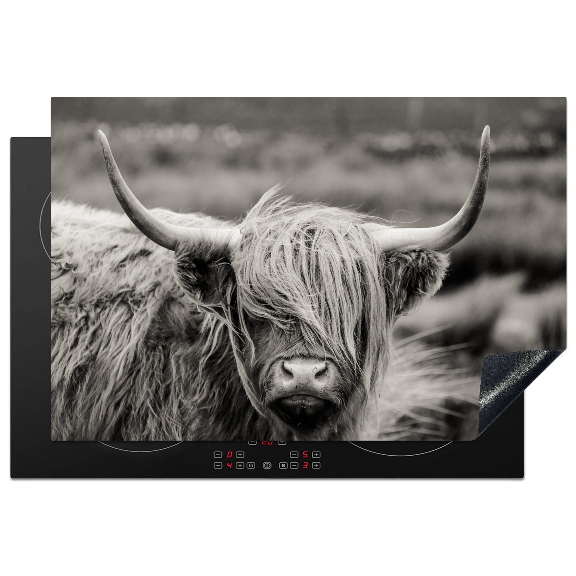 Arbeitsplatte Herdblende-/Abdeckplatte MuchoWow - Kuh für Ländlich, - 77x51 cm, - küche Vinyl, (1 Schwarz-Weiß tlg), Schottischer Tiere Ceranfeldabdeckung, Highlander -