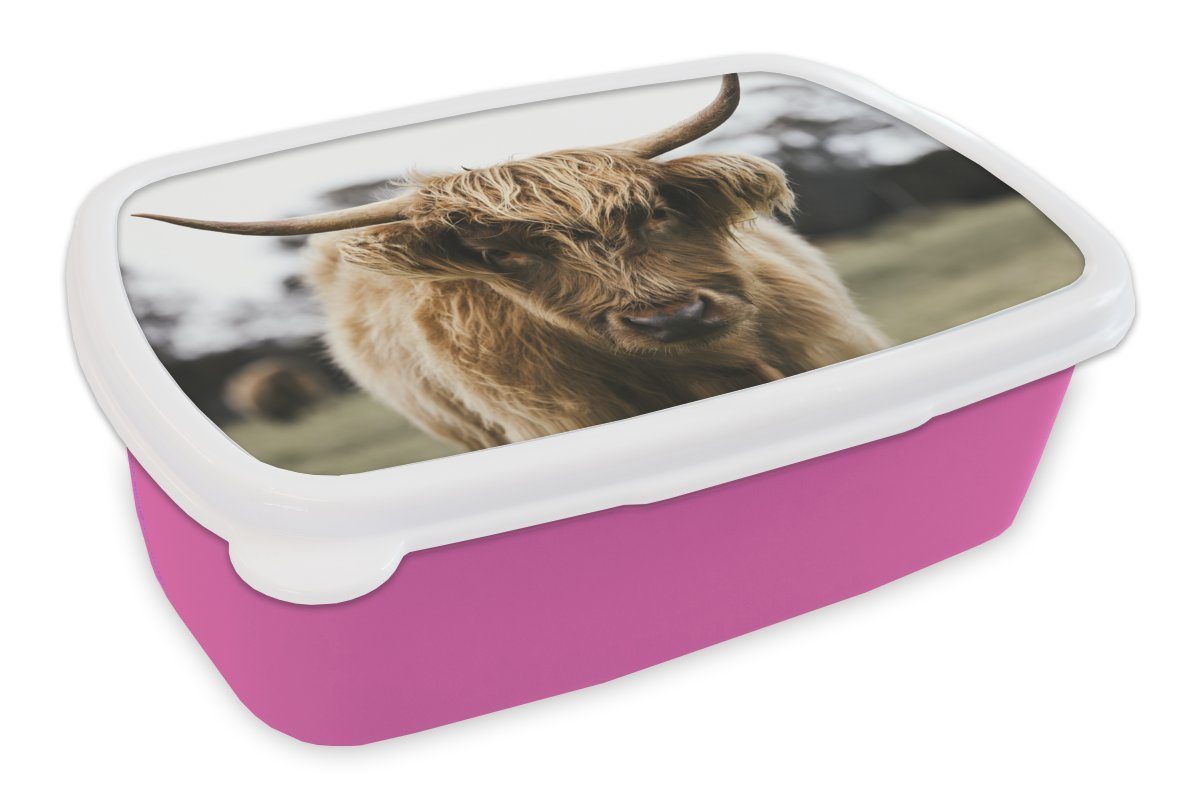 rosa Porträt, Lunchbox Brotbox Schottischer Snackbox, Kinder, Highlander Erwachsene, - MuchoWow (2-tlg), Mädchen, Kunststoff, Kunststoff Brotdose für