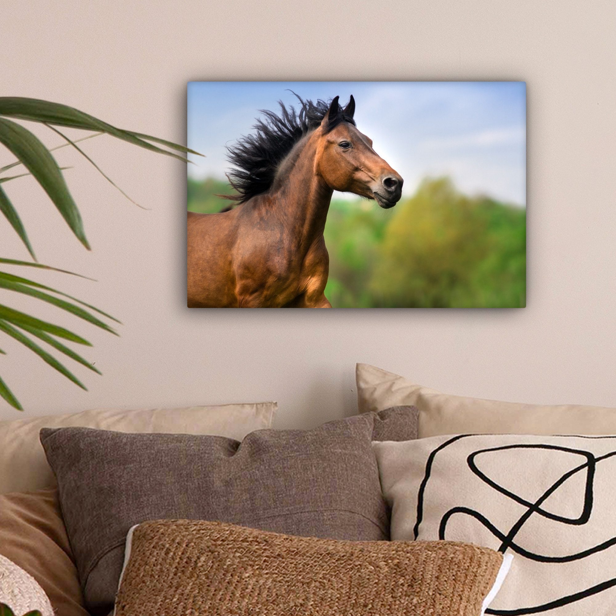 OneMillionCanvasses® Leinwandbild Pferd - Tier - günstig online kaufen