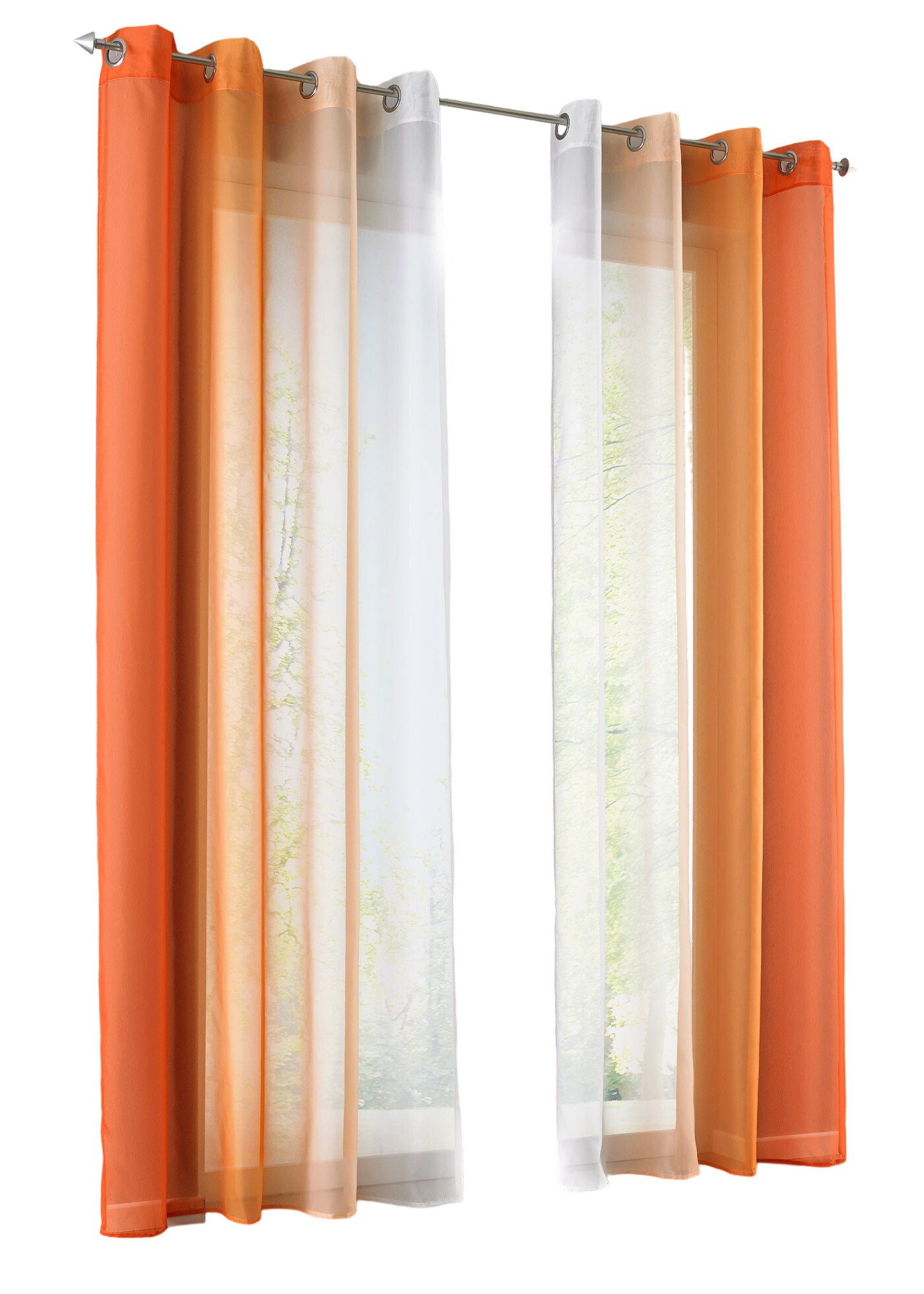 Gardinenbox Gardine, Ösen (2 St), transparent, günstig online kaufen