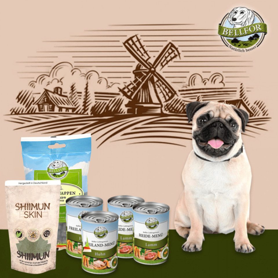 Bellfor Bellfor Mops Futter Set, für: Hunde