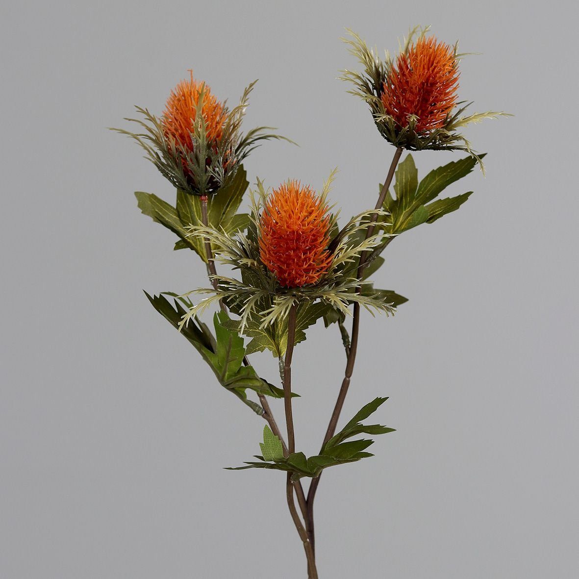 Kunstpflanze DPI Distelzweig orange 68 cm, DPI