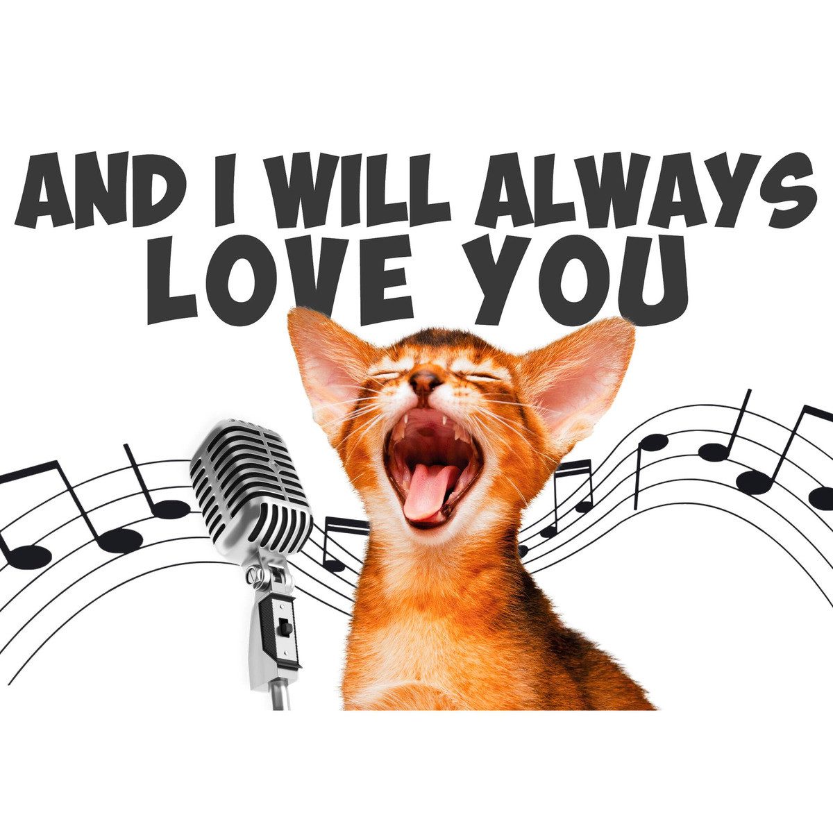 Flamingo Grußkarten Karte A5 "And I will always Love you