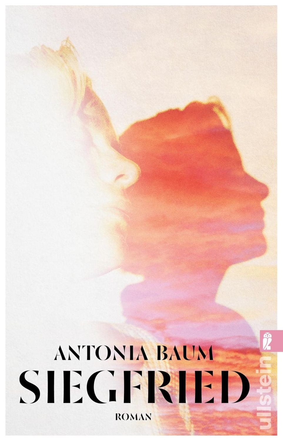 Siegfried / Antonia Baum