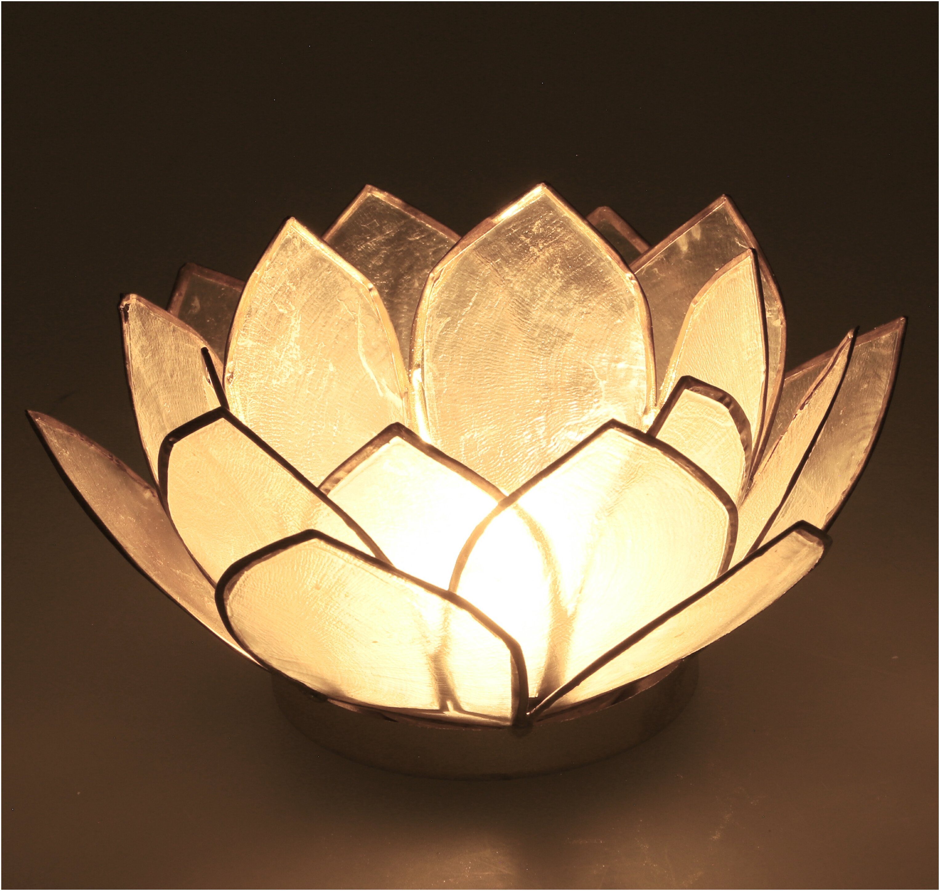 weiß cm Guru-Shop Lotus Windlicht 14*6 Muschel - Teelicht