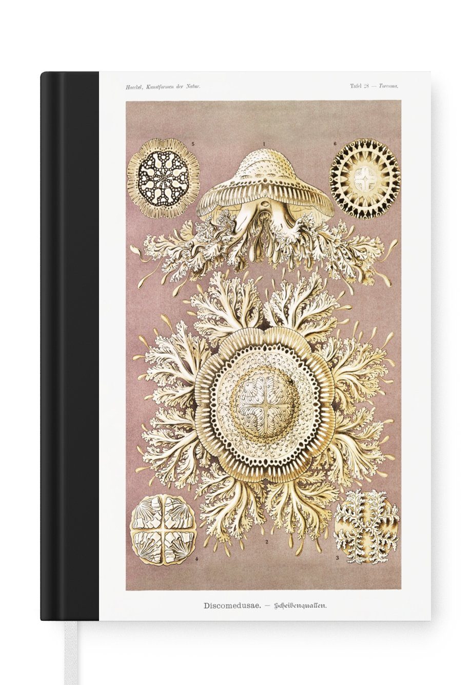 MuchoWow Notizbuch Jahrgang - Ernst Haeckel - Qualle - Kunst, Journal, Merkzettel, Tagebuch, Notizheft, A5, 98 Seiten, Haushaltsbuch
