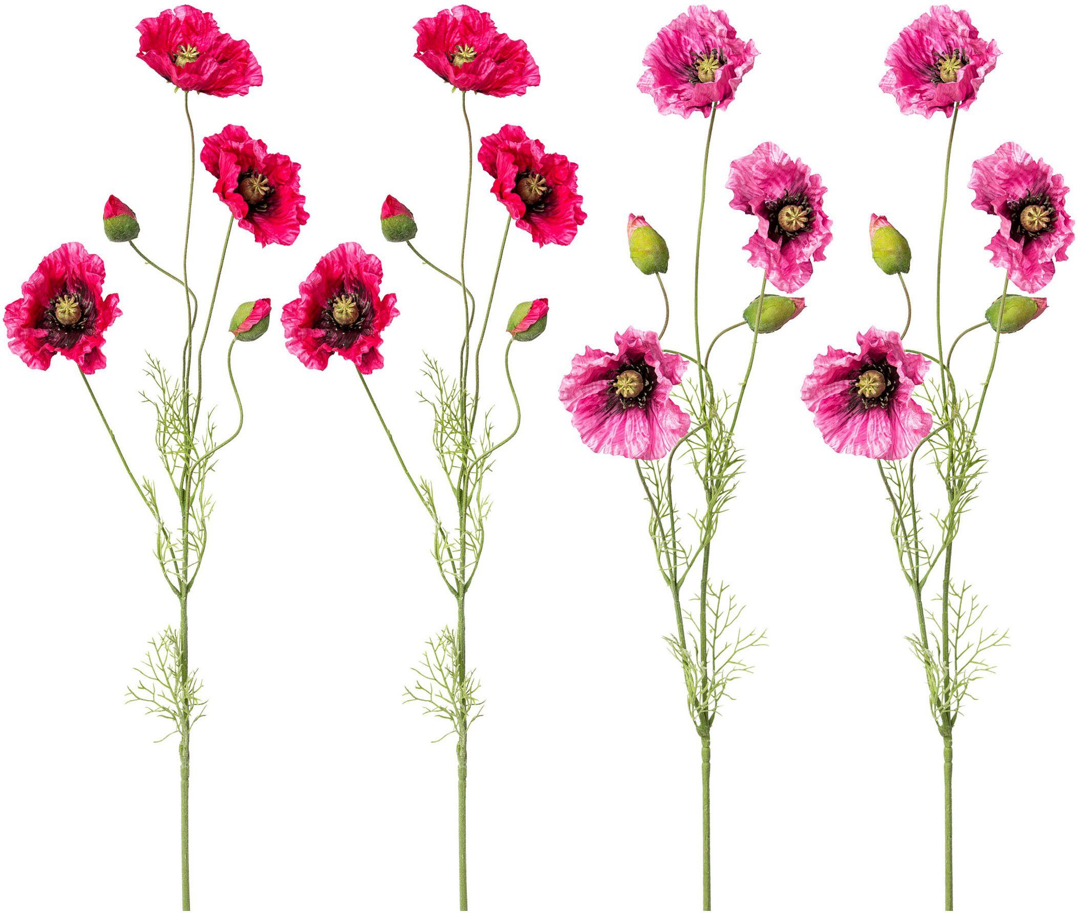 Kunstblume Mohn Mohn, Creativ green, Höhe günstig online kaufen