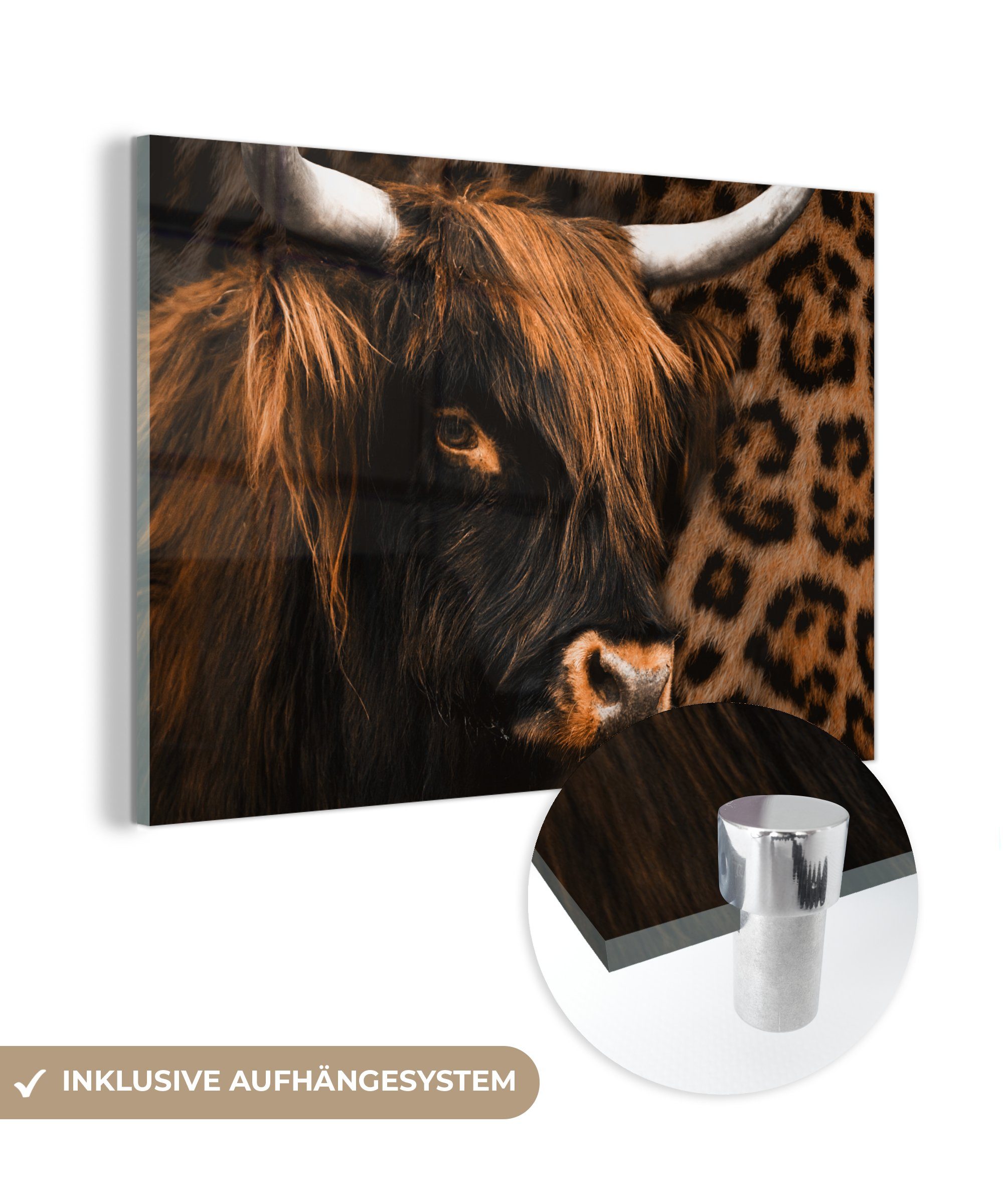 Highlander Design, Wandbild Glasbilder St), - Glas - MuchoWow (1 Bilder Foto - - auf - Schottischer Wanddekoration Pantherdruck auf Glas Acrylglasbild