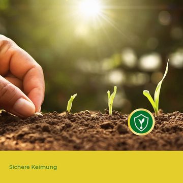 GreenEdge Rasendünger Rasensamen (dürresistent) schnellkeimend + robust