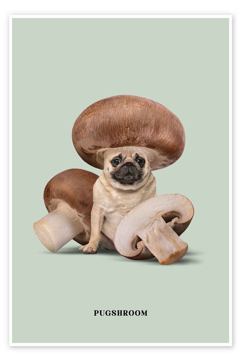 Posterlounge Poster Jonas Loose, Pugshroom, Illustration
