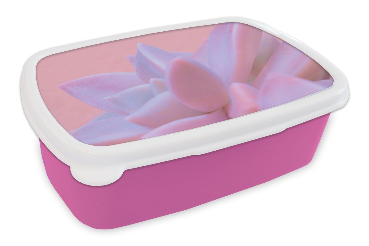 MuchoWow Lunchbox Sukkulente - Sommer - Rosa - Pflanzen, Kunststoff, (2-tlg), Brotbox für Erwachsene, Brotdose Kinder, Snackbox, Mädchen, Kunststoff