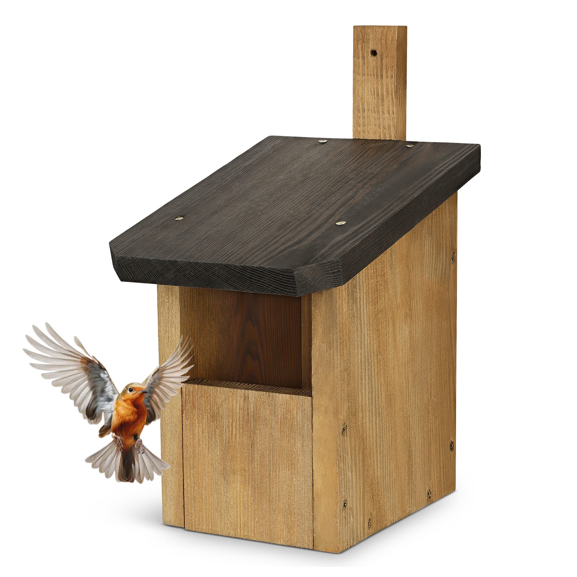 Waldfunk Nistkasten Halbhöhle für Rotkehlchen & Co., Wetterfest & Massives Holz, 30 x 20 x 16 cm