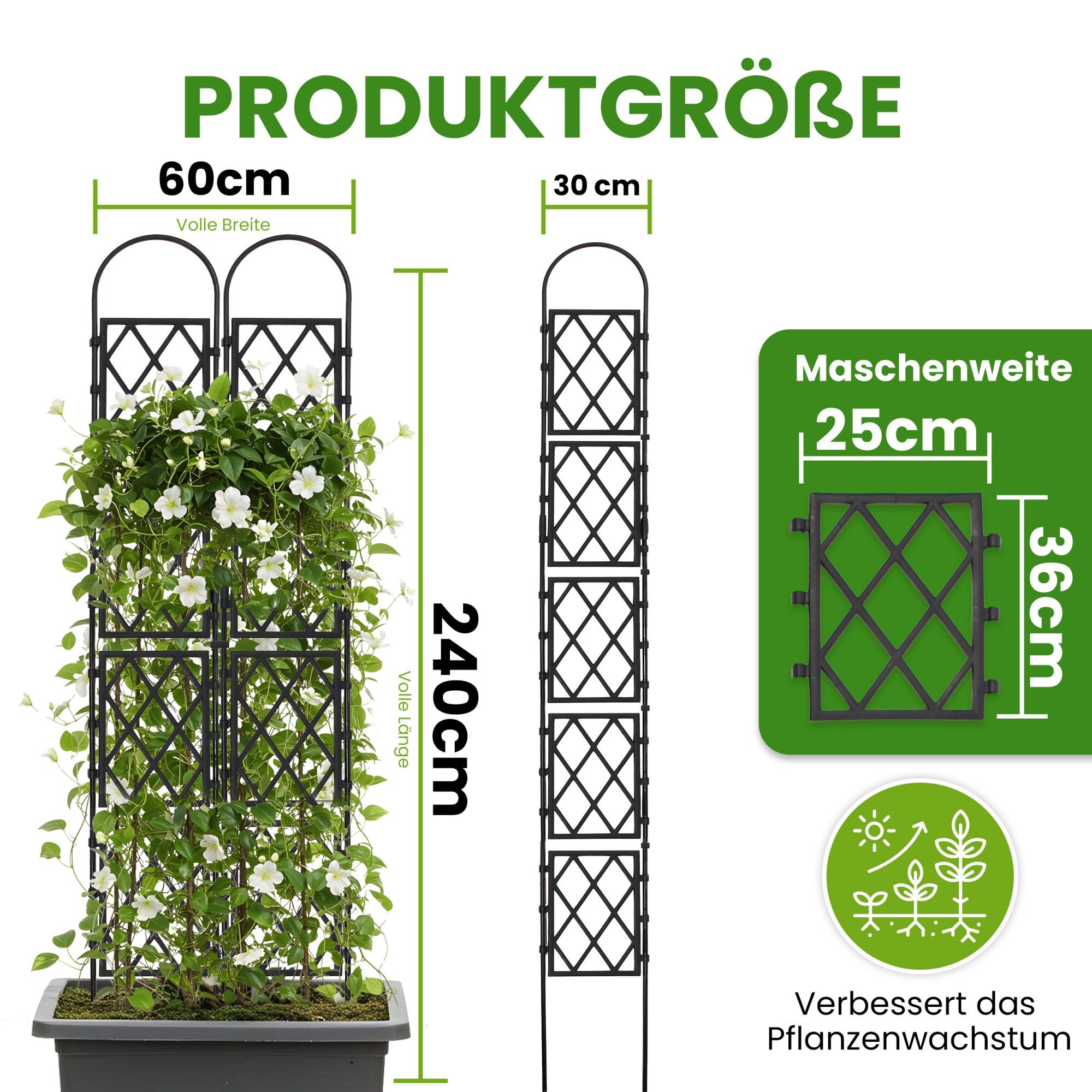 Gartenwelt Riegelsberger Rankhilfe Wandspalier mit Bogen günstig online kaufen