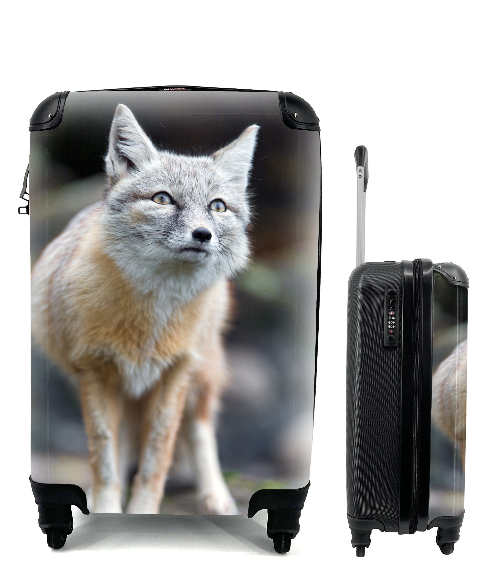 Ferien, Fuchs - Makro Handgepäckkoffer Handgepäck rollen, Trolley, Reisekoffer Baum, - Reisetasche mit für 4 MuchoWow Rollen,