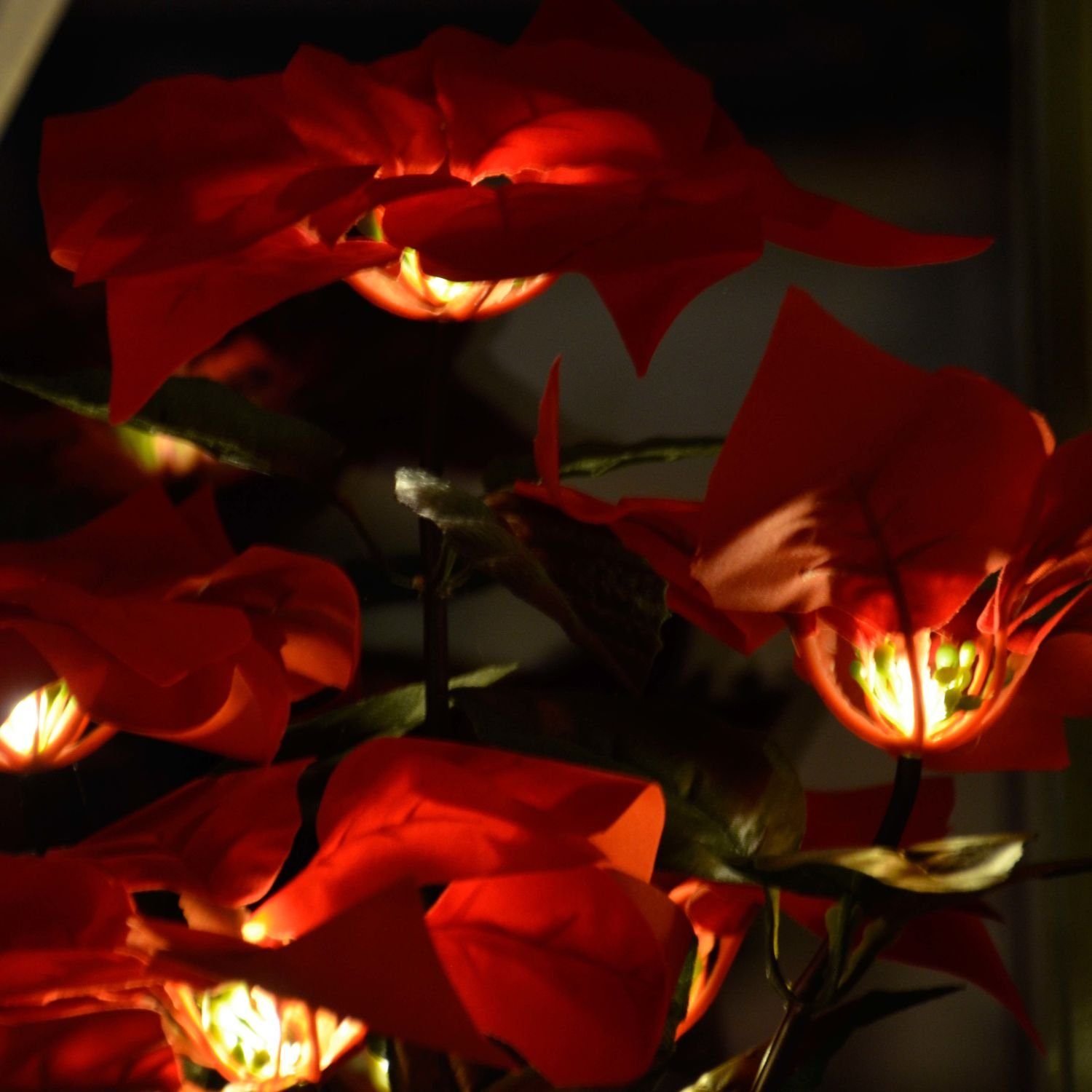 Licht-Erlebnisse Nachttischlampe LED BLUME, LED, 43 cm Gold Deko LED Rot Weihnachtsstern Warmweiß, Tischlampe