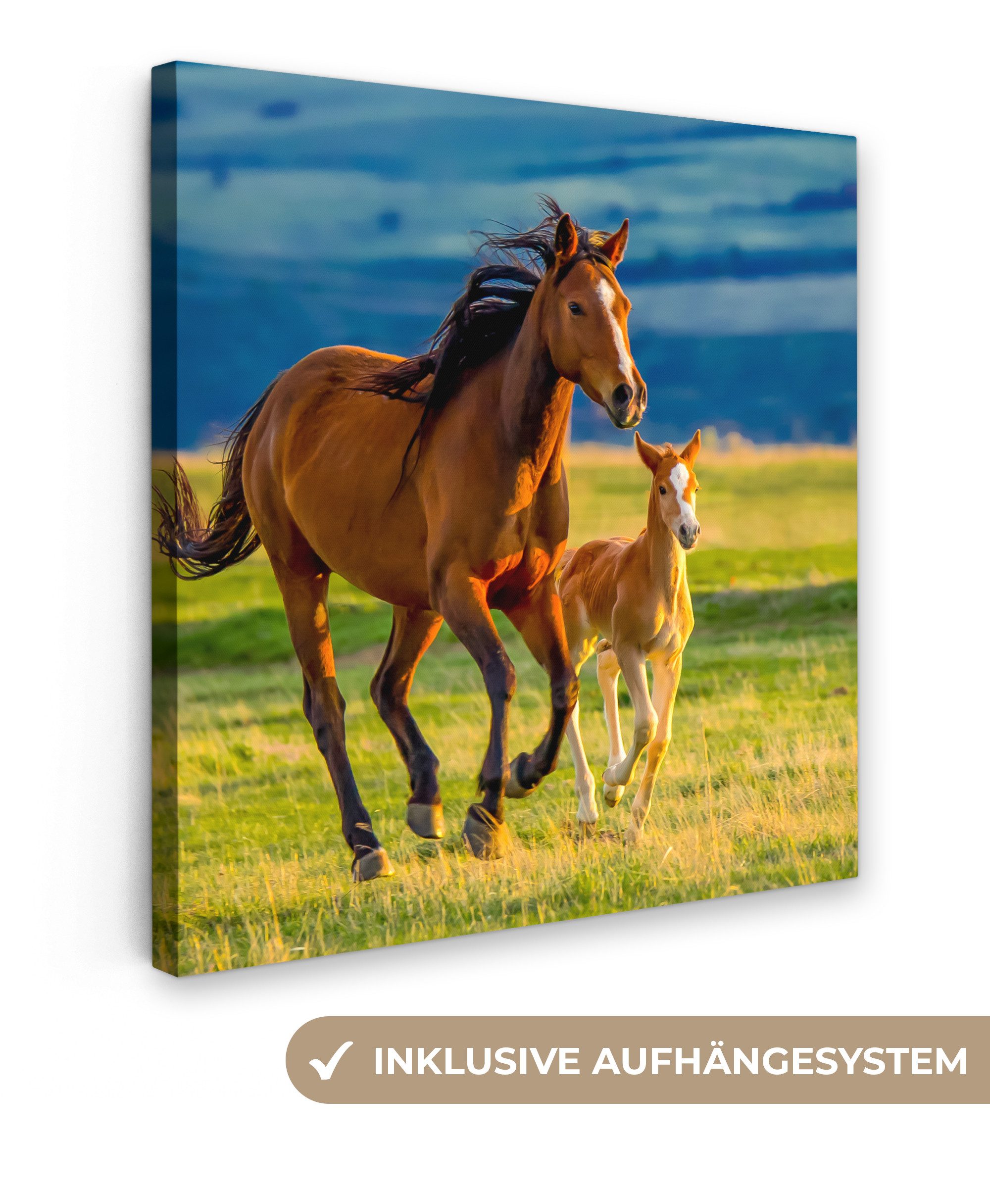 OneMillionCanvasses® Leinwandbild Pferde - Gras - günstig online kaufen