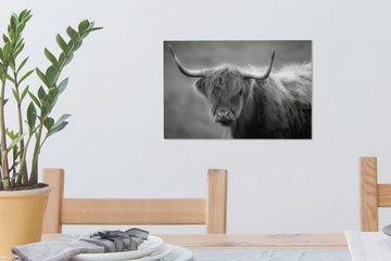 OneMillionCanvasses® Leinwandbild Nahaufnahme eines schottischen Hochlandrinds - schwarz und weiß - Kuh - Tier, (1 St), Bild auf Leinwand Wandbild Leinwandbilder Wanddekoration Kunstdruck Wandkunst Gemälde