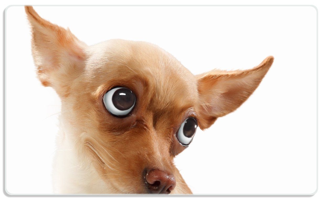 Wallario Frühstücksbrett Lustiger Hund mit fliegenden Ohren, ESG-Sicherheitsglas, (inkl. rutschfester Gummifüße 4mm, 1-St), 14x23cm