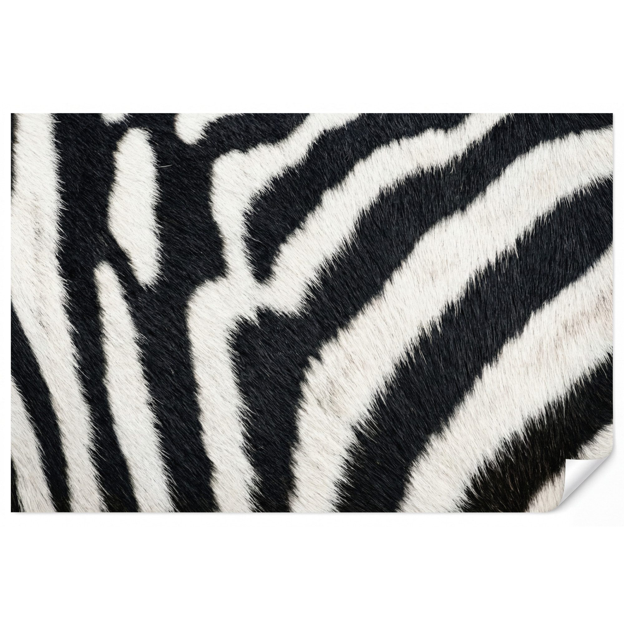 OnlyWow Fototapete Zebra - Mantel - Klassisch - Schwarz - Weiß, Matt, bedruckt, Wohnzimmer, Modern, Wanddekoration, Vliestapete 100x70cm