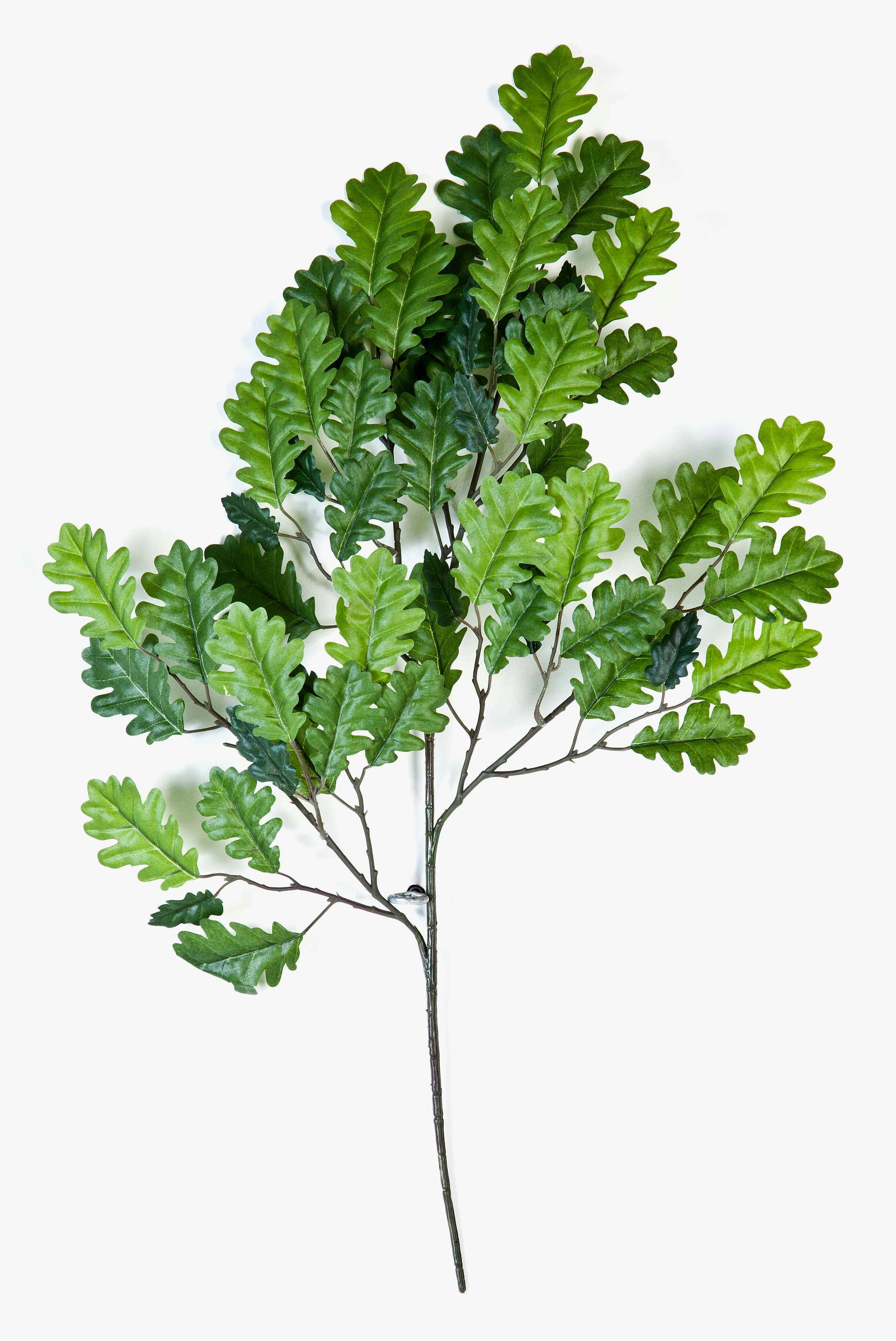 Kunstzweig Künstlicher Eichenblattzweig EMILIAN, 55 Blätter, grün, 55cm Eiche, artplants, Höhe 55.0 cm