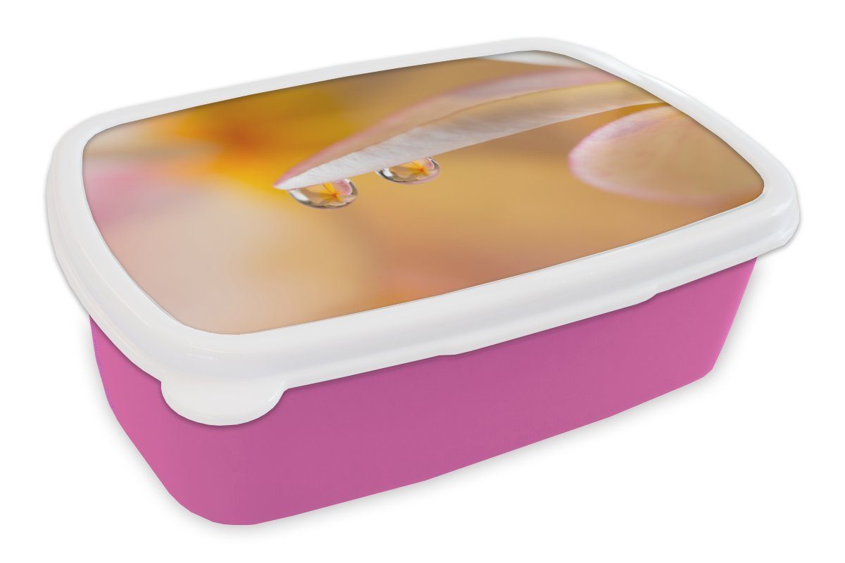 MuchoWow Lunchbox Nahaufnahme von Wassertropfen auf einer Plumeria, Kunststoff, (2-tlg), Brotbox für Erwachsene, Brotdose Kinder, Snackbox, Mädchen, Kunststoff rosa