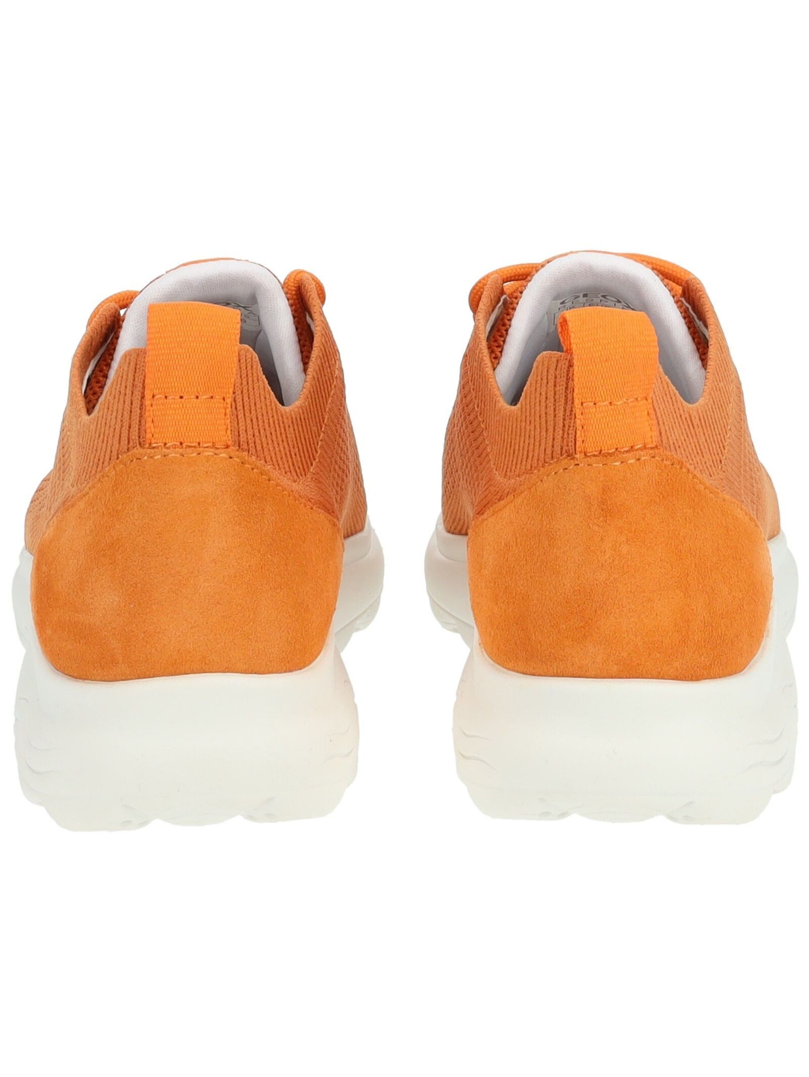 Geox Sneaker Leder/Textil . Sneaker (1-tlg)