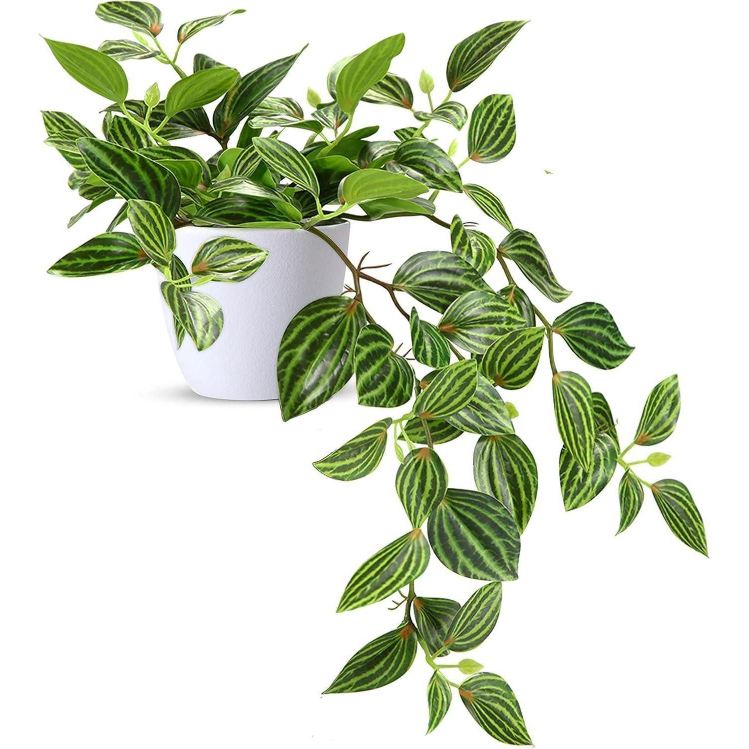 Künstliche Zimmerpflanze Kunstpflanze 25cm Deko Modern Wohnzimmer Balkon Tischdeko 1 Stück weiß, LuxusKollektion, Höhe 11 cm