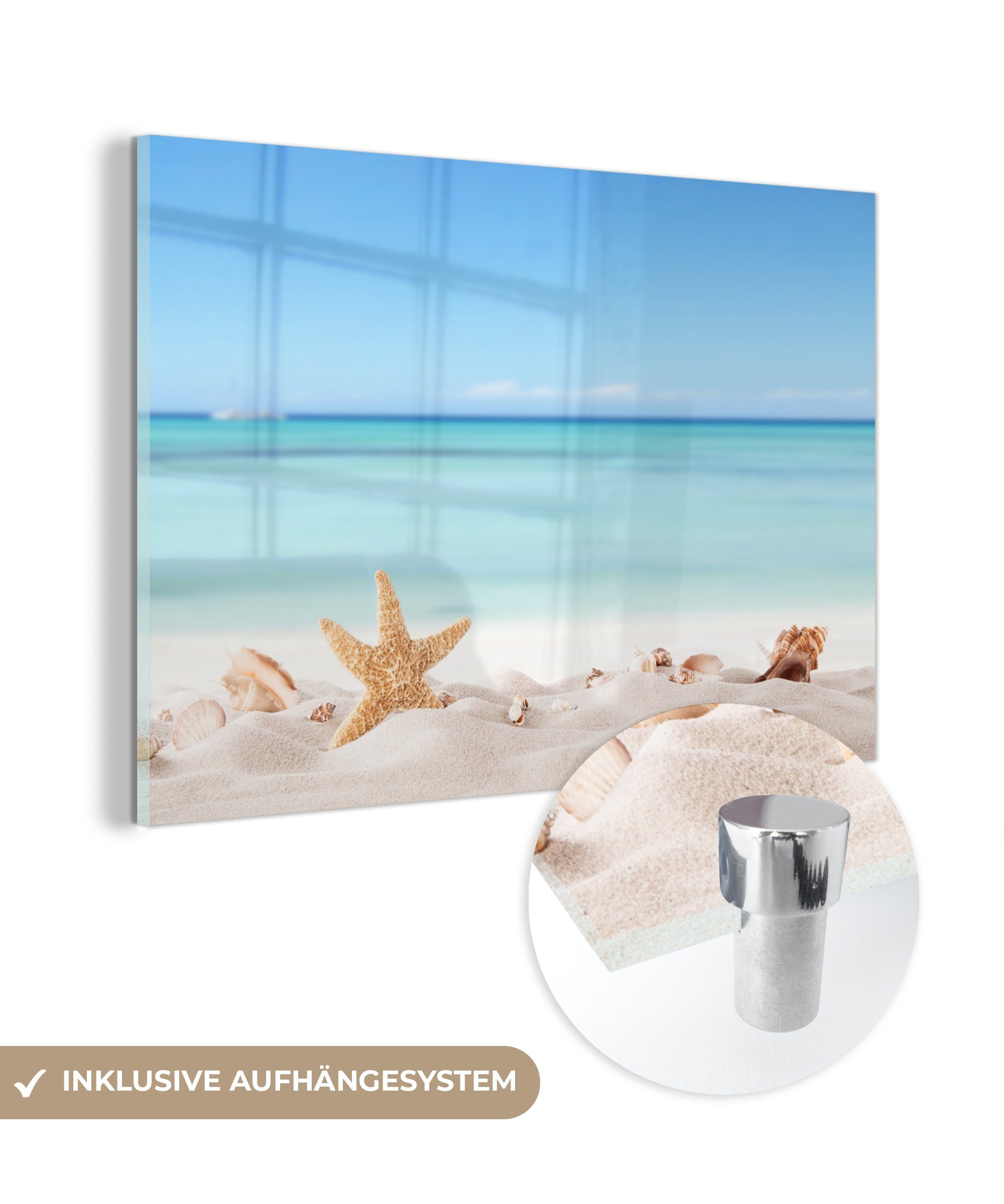 MuchoWow Acrylglasbild Strand - Meer - Muscheln - Seesterne, (1 St), Glasbilder - Bilder auf Glas Wandbild - Foto auf Glas - Wanddekoration