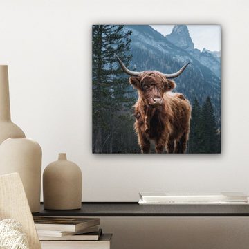 OneMillionCanvasses® Leinwandbild Kuh - Schottischer Highlander - Natur, (1 St), Leinwand Bilder für Wohnzimmer Schlafzimmer, 20x20 cm