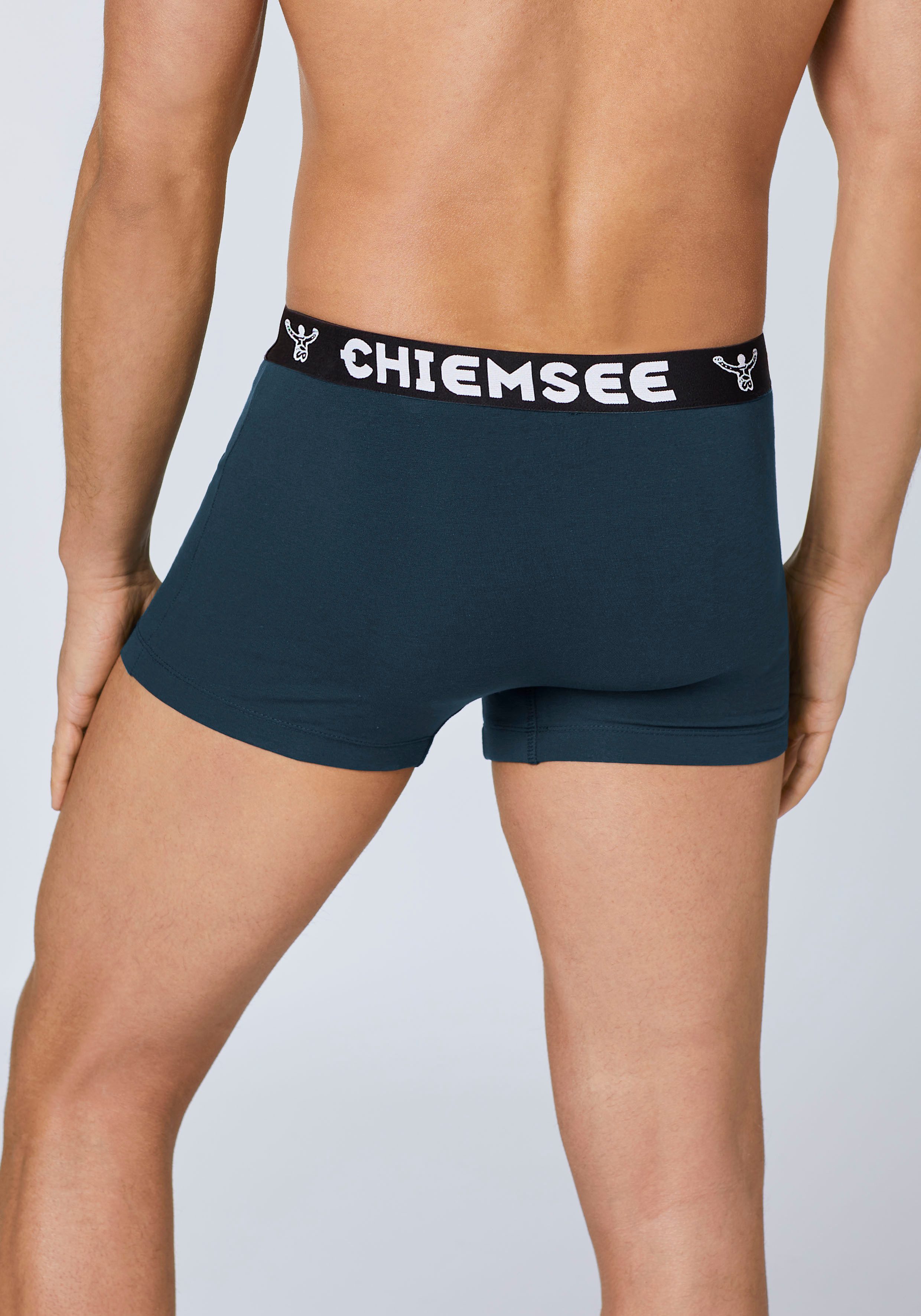Chiemsee Retro Boxer im vorteilhaften 12er Pack