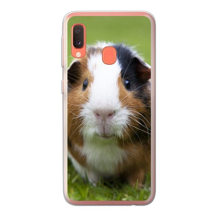 MuchoWow Handyhülle Zwei Meerschweinchen Handyhülle Samsung Galaxy A20e Smartphone-Bumper Print Handy