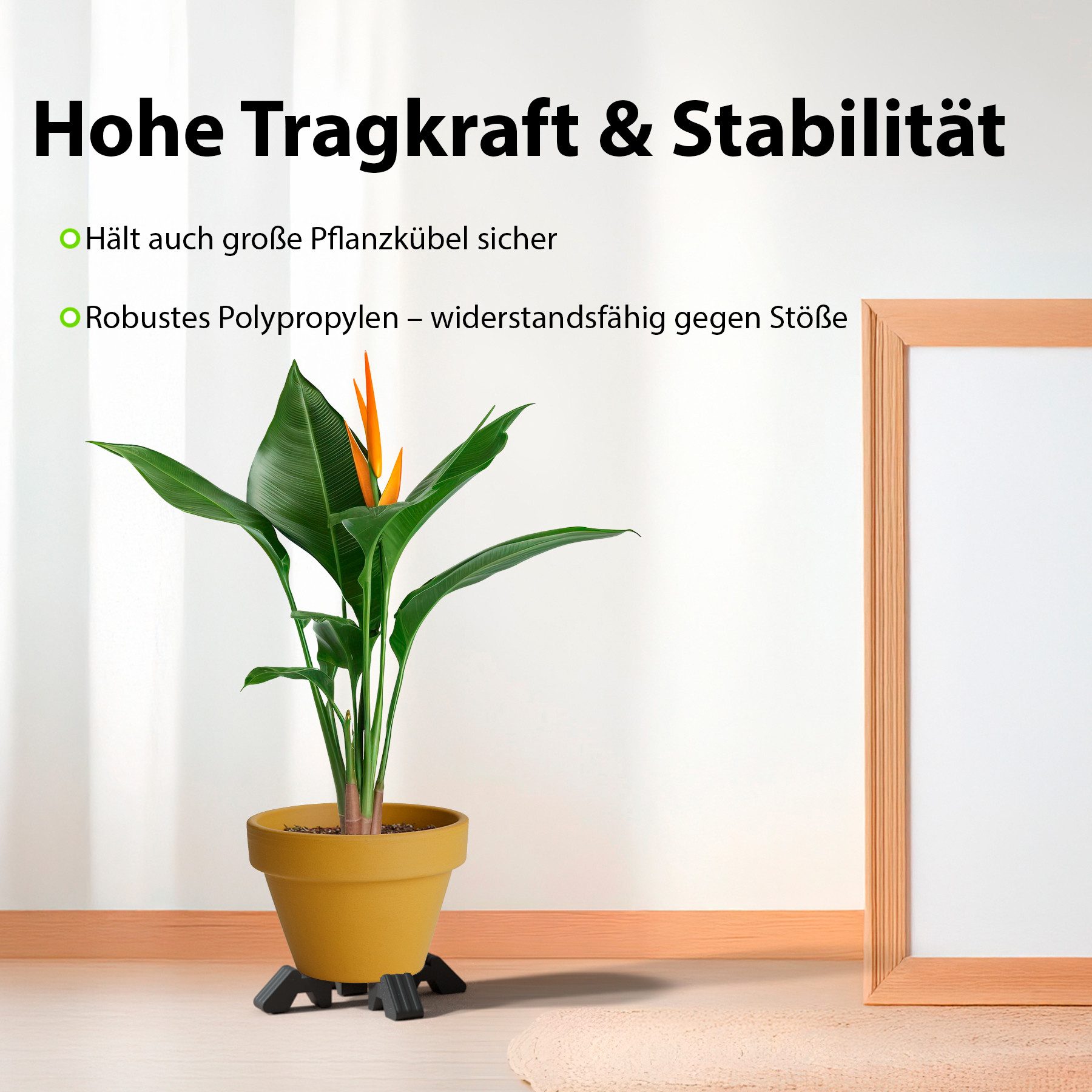 BigDean Blumentopfuntersetzer Füßchen 4x Spezial Anthrazit günstig online kaufen
