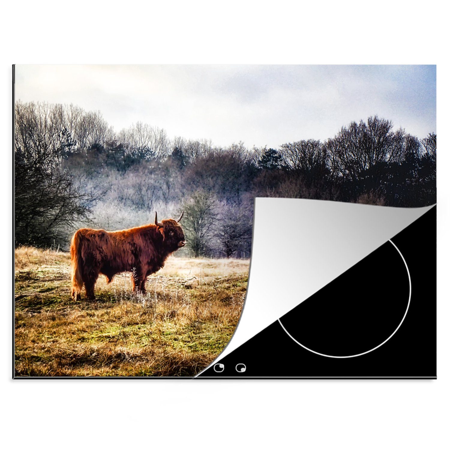 MuchoWow Herdblende-/Abdeckplatte Schottischer Highlander - Wald - Nebel, Vinyl, (1 tlg), 70x52 cm, Mobile Arbeitsfläche nutzbar, Ceranfeldabdeckung
