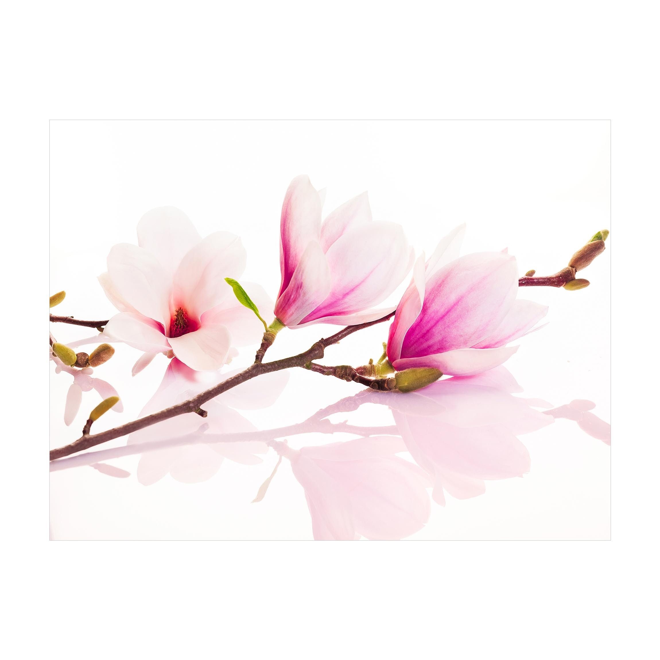 Bilderdepot24 Teppich Vinyl Wohnzimmer Schlafzimmer Flur Küche Blumen modern, rechteckig - rosa glatt, nass wischbar (Küche, Tierhaare) - Saugroboter & Bodenheizung geeignet