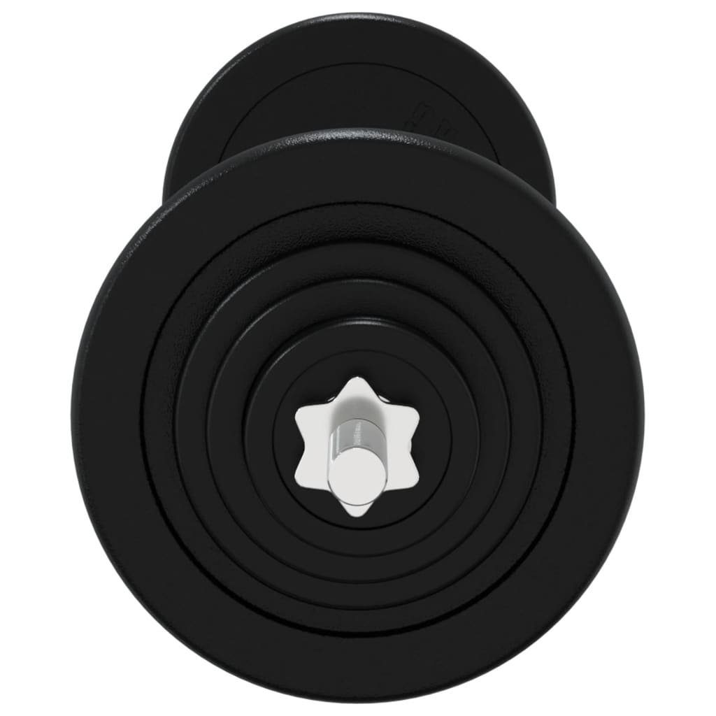 Gewichten Hantel Training Kraftsporr vidaXL kg Fitness 30 Set Gewicht Langhantel mit