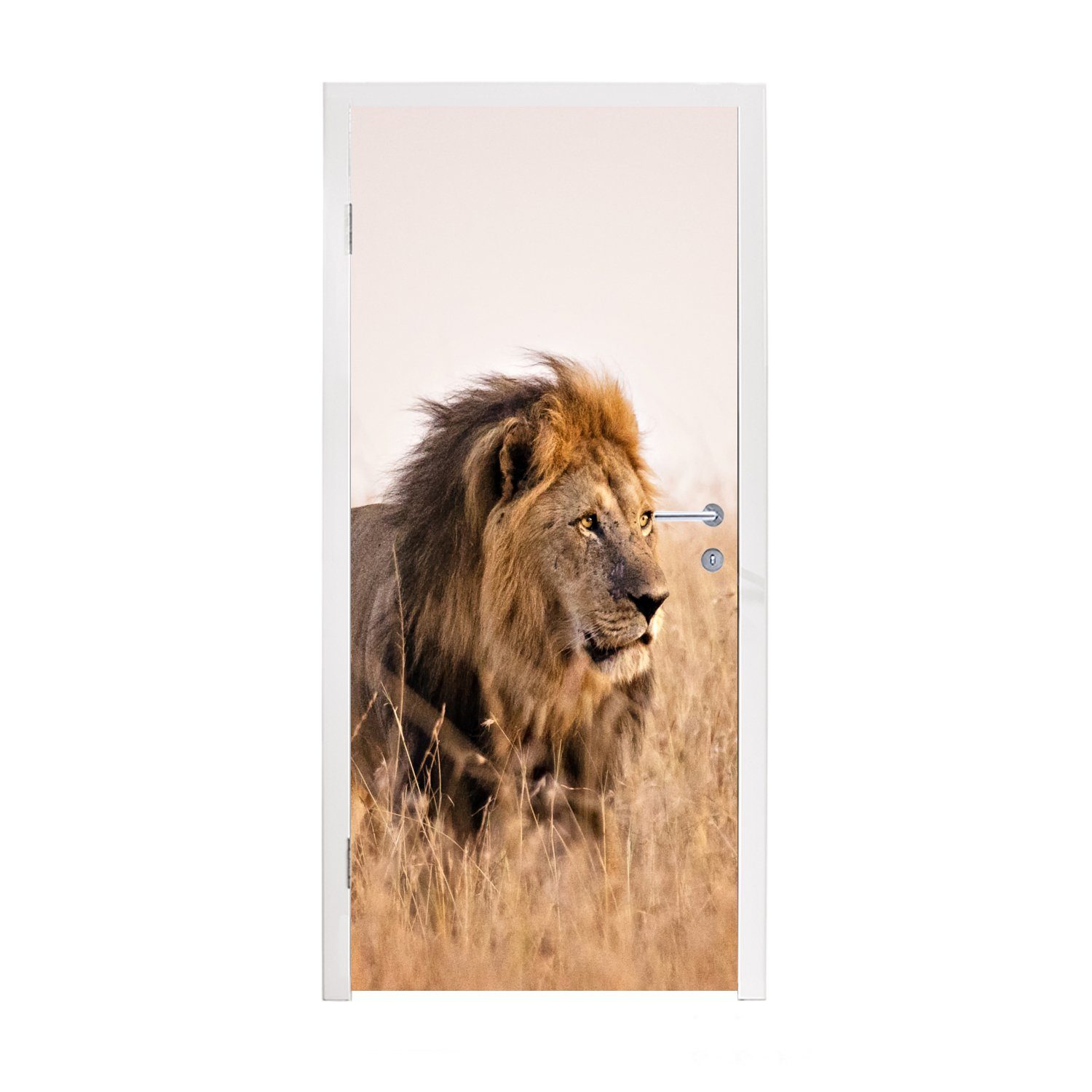 MuchoWow Türtapete Löwe - Gras - Jagd, Matt, bedruckt, (1 St), Selbstklebende Tapete, Folie für Möbel, 75x205 cm