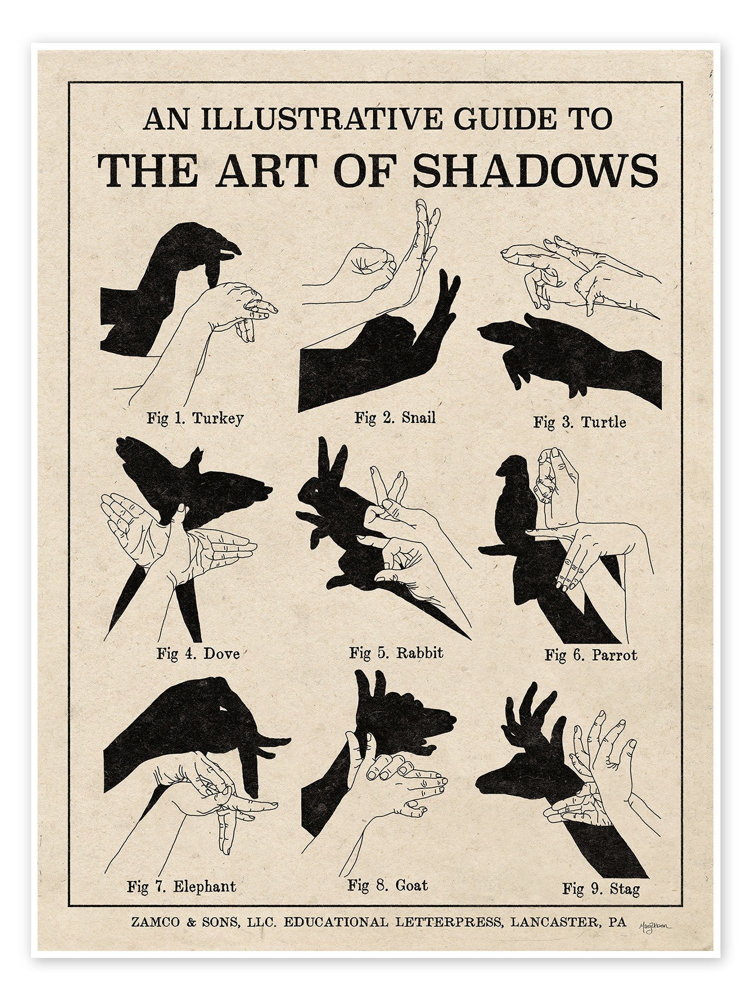 Posterlounge Poster Mary Urban, Die Kunst der Schattenspiele X (Englisch), Wohnzimmer Rustikal Illustration