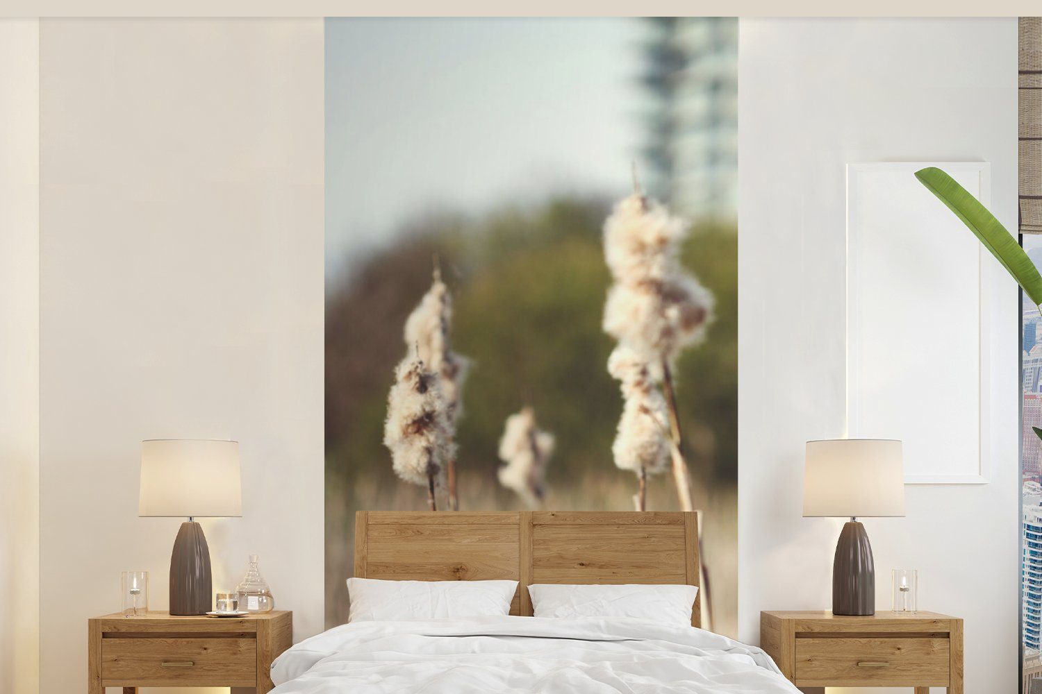 Baumwolle Küche, Fototapete - Vliestapete - Fototapete Pflanzen, (2 Wohnzimmer bedruckt, Sonne St), für MuchoWow Matt, Schlafzimmer