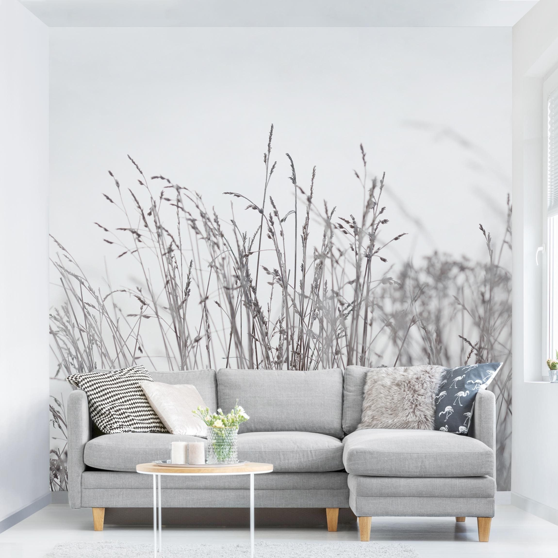 Bilderdepot24 Fototapete Blumen Winterliche Gräser Blumentapete günstig online kaufen