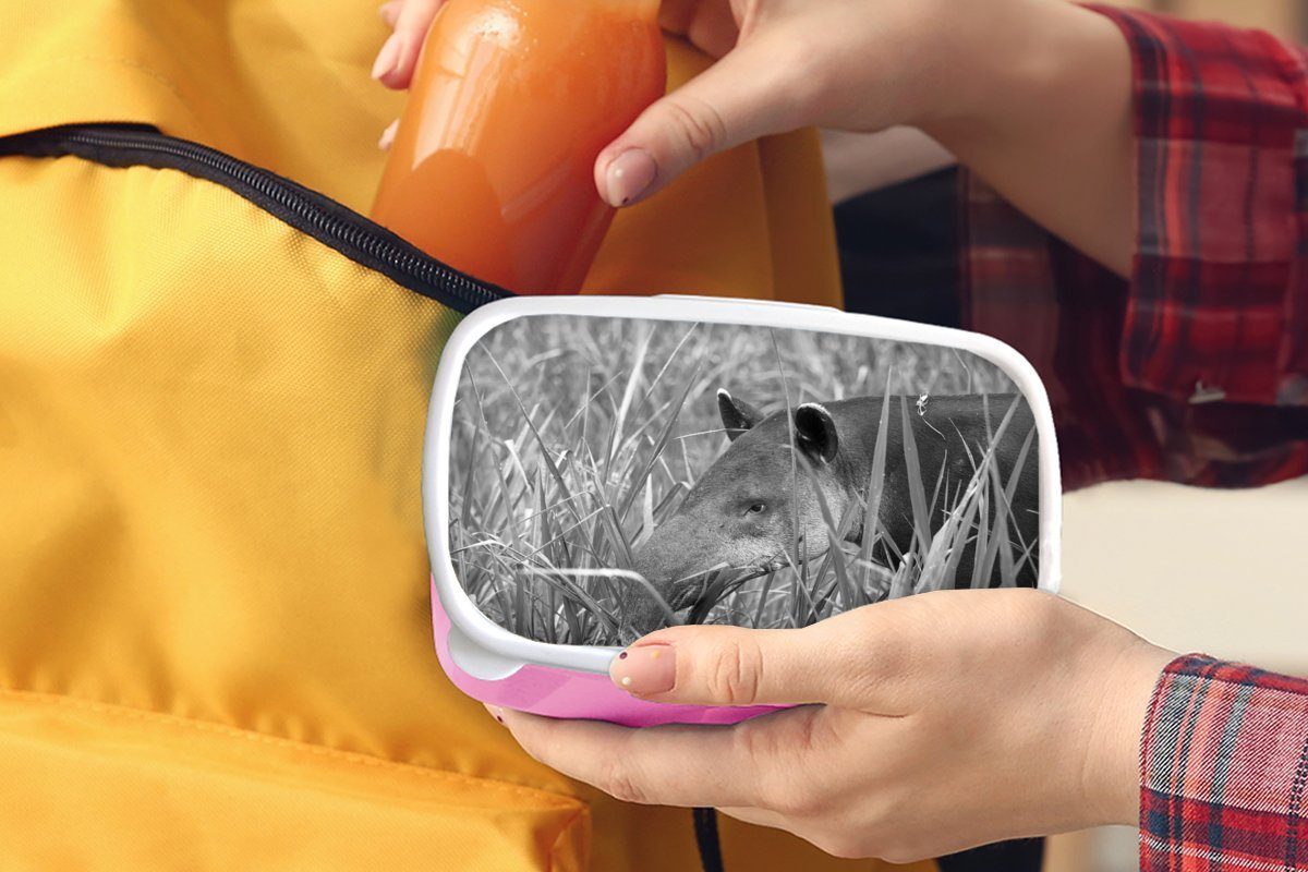 Tapir in, Mädchen, MuchoWow (2-tlg), Nationalpark von Mittelamerikanischer rosa Kunststoff Kunststoff, Erwachsene, Brotdose im Kinder, Snackbox, Costa Rica Lunchbox für Brotbox