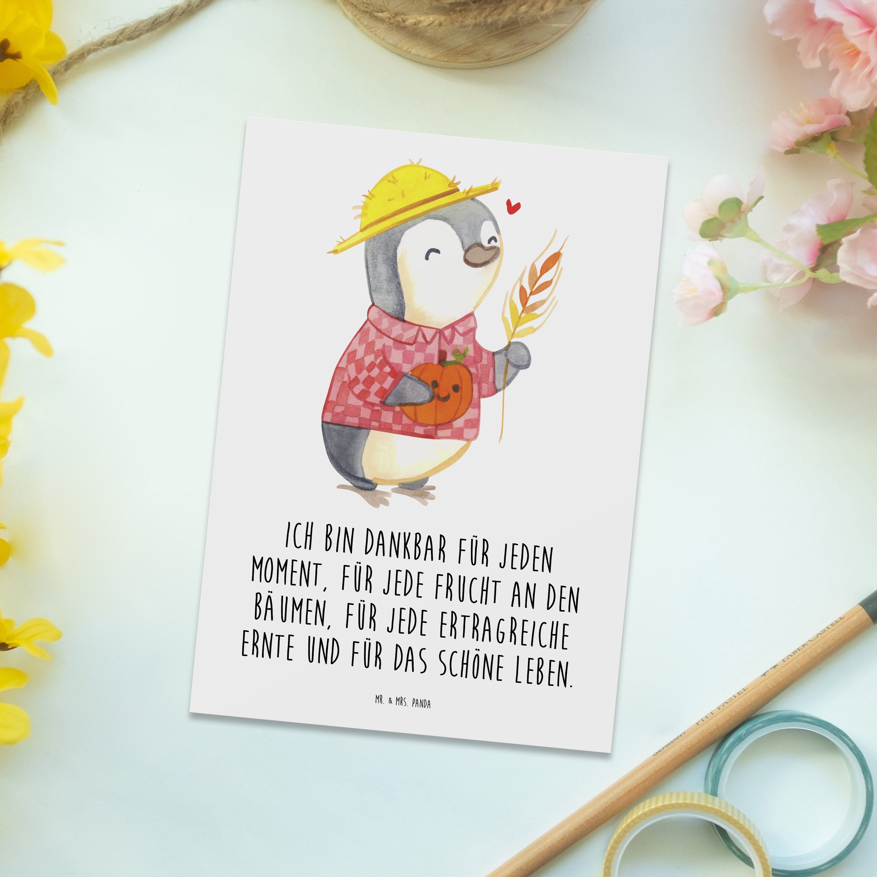Erntedank & Panda Erntedankfest Pinguin Postkarte Geschenk, Sprüche, Erntedank Mrs. Mr. Weiß - -