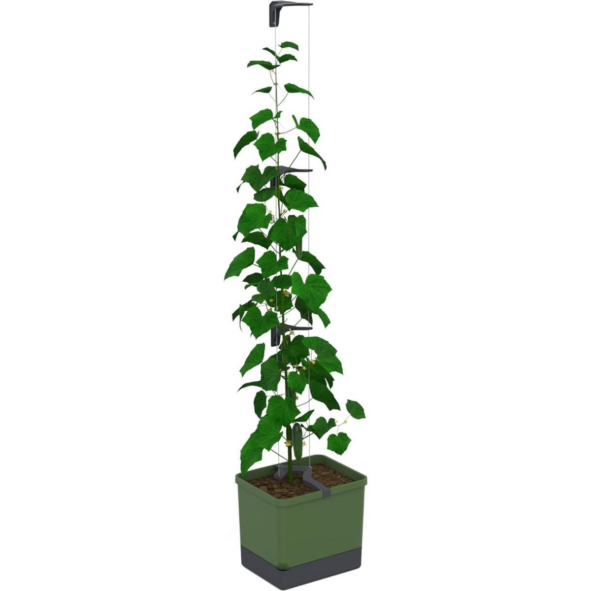 Gusta Garden Pflanzkübel CURT CUCUMBER (inkl. flexibler Ranhilfe und Bewässerungssystem), Gurkentopf für Balkon, Terrasse & Garten, dunkelgrün